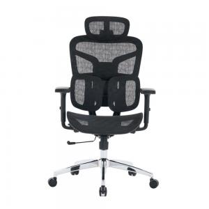 Ghế công thái học ergonomic E-Dra EEC226